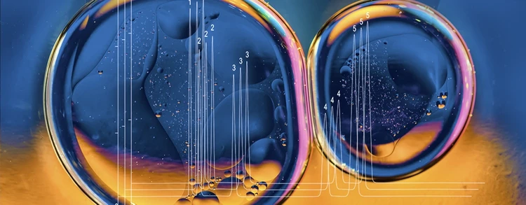 Phenomenex chromatography products
